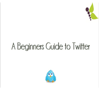 A Beginners Guide to Twitter