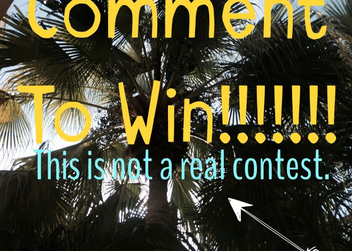Your Like & Share Facebook Contest Won’t Work